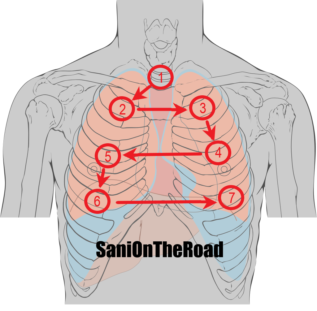What Are Thoracic Landmarks? : Surface anatomy and surface landmarks ...